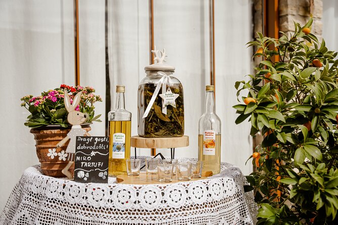 Truffle Hunting and 3-course Truffle Brunch in Motovun - Practical Details: Meeting Point, Duration, and Group Size