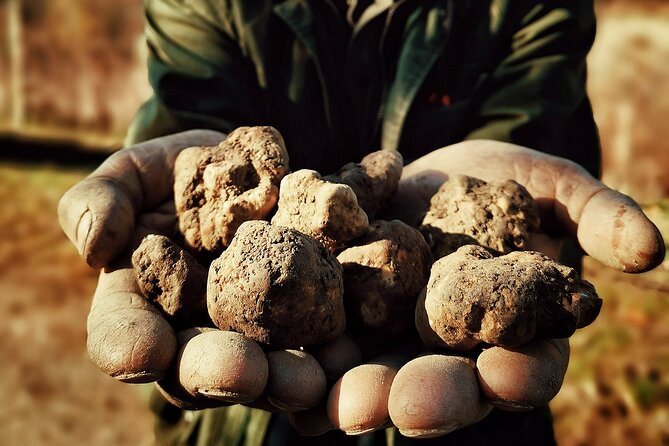 Truffle Hunting and Cheese, Truffle & Wine Tasting near Alba - How the Truffle Hunting Fee Works
