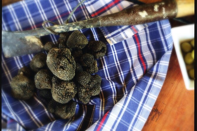 Truffle Hunting and Handmade Pasta in Ascoli Piceno - Guide and Host: Personal Touch in the Marche Forest