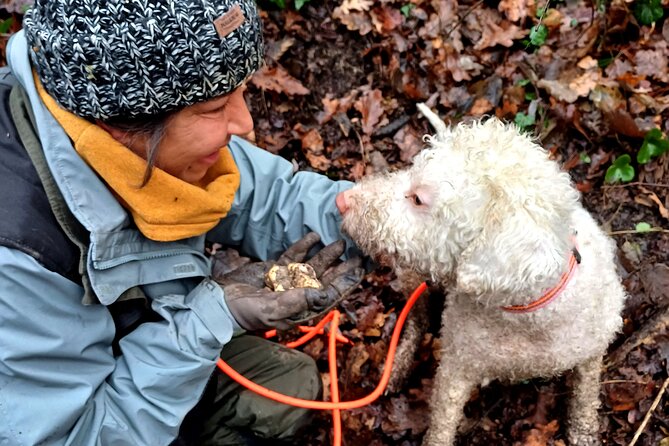 Truffle Hunting and Lunch in Piedmont Trattoria - An Authentic Truffle Hunt with Personal Guides in Piedmont