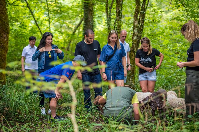 Truffle hunting & cooking tour - Tasting Croatias’ Finest: The Truffle Meal and Local Products