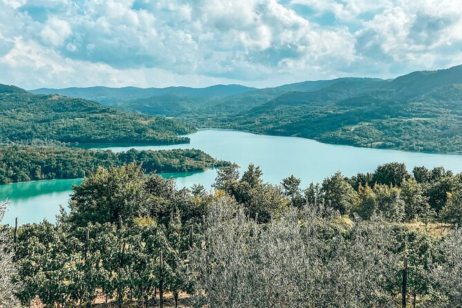 Truffle hunting & cooking tour - Visiting the First Croatian Truffle Museum