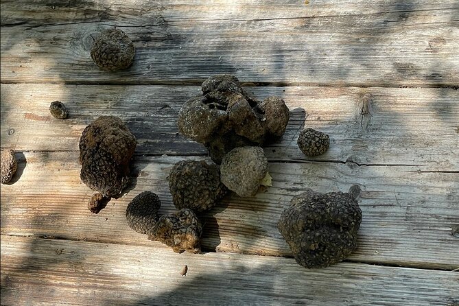 Truffle Hunting, Culinary & Wine Celebration from Elounda - Additional Pickup and Drop-off Locations for Flexibility