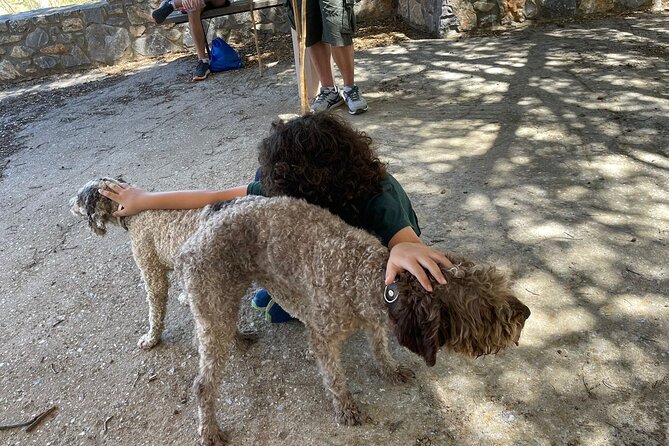 Truffle Hunting, Culinary & Wine Celebration from Elounda - Included Amenities and Support for a Comfortable Day