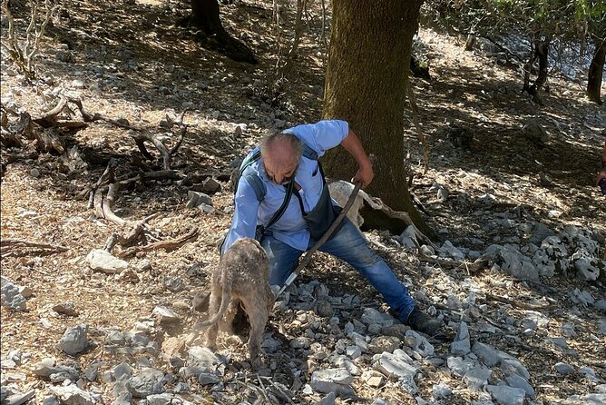 Truffle Hunting, Culinary & Wine Celebration from Heraklion - Luxury Transport and Personalized Service