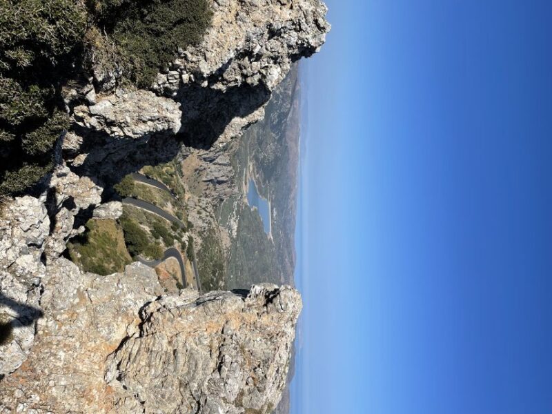 Truffle Hunting, Culinary & Wine Celebration from Heraklion - Key Points