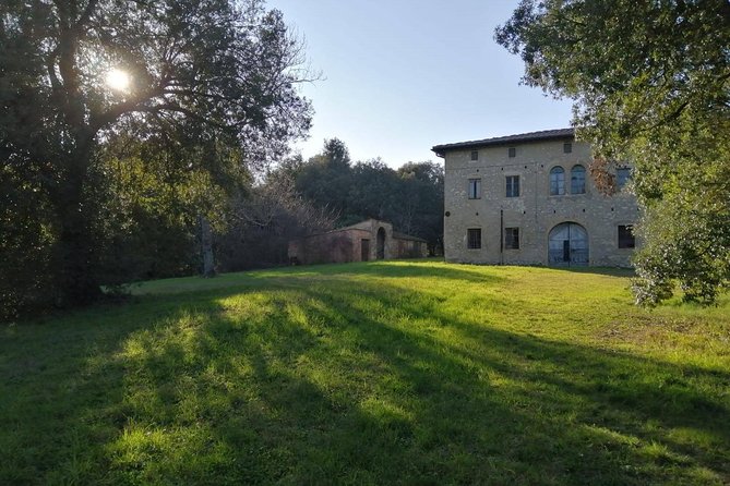 Truffle hunting - Highlights of the Truffle Hunting in Tuscany