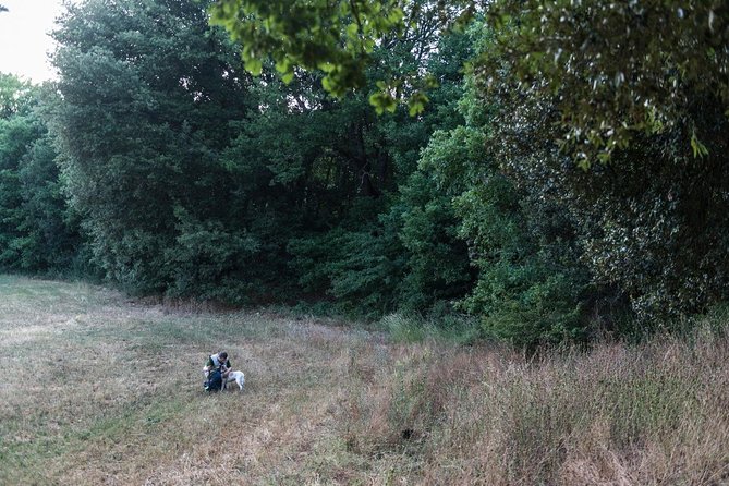 Truffle hunting - Who Will Enjoy This Truffle Hunt?