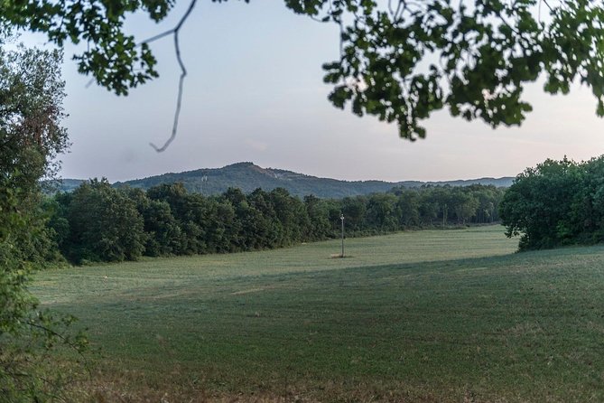 Truffle hunting - The Guides and Their Approach