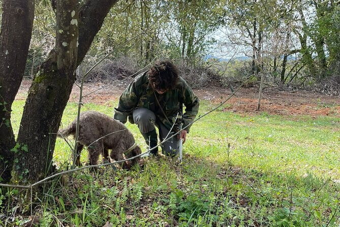Truffle hunting experience with lunch and Chianti wine tasting - Chianti Wine Tasting at a Traditional Winery