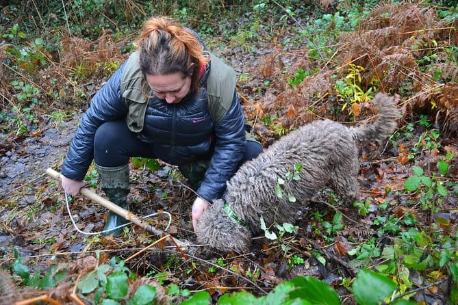Truffle Hunting Experience with Lunch in San Miniato - What Makes the Truffle Search Special