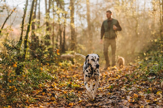 Truffle hunting for Nature Enthusiasts - Key Points