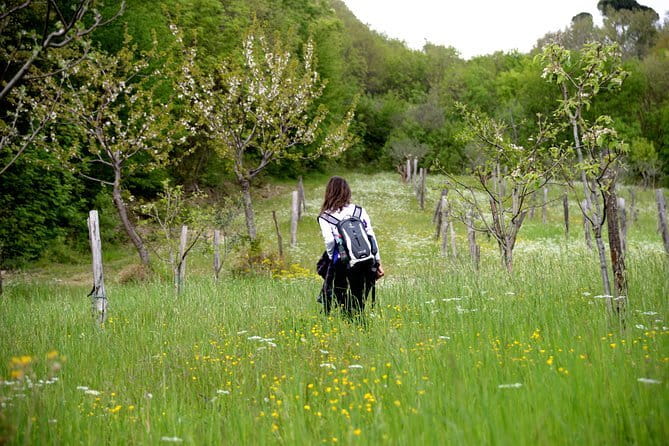 Truffle hunting + gourmet tasting (transfer included) - The Value of the Tour: Combining Activity, Education, and Cuisine