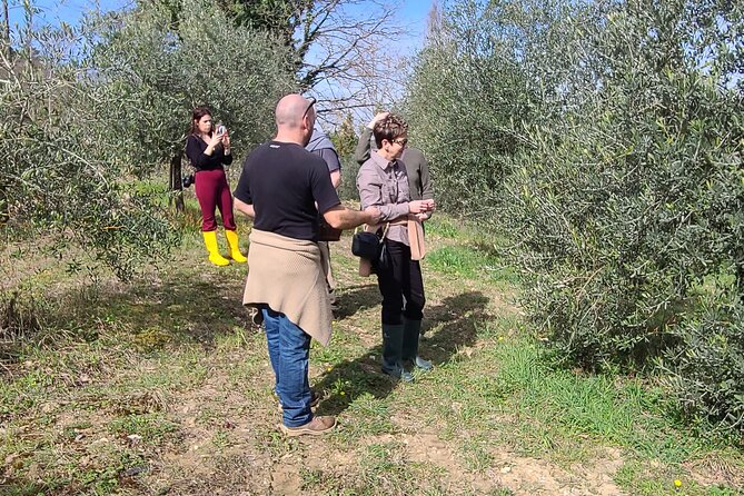 Truffle Hunting in Chianti, pasta class and lunch - Meeting Point and Group Size for a Personalized Experience