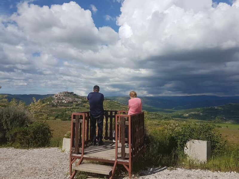 Truffle hunting in Istria private experience - The Expertise of the Professional Truffle Hunter and Dog