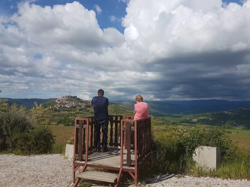 Truffle hunting in Istria private experience - Logistics: Private Transport and Guided Experience