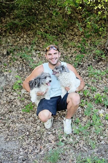 Truffle Hunting in Provence - Exploring the Provençal Landscape: Vineyards, Olive Groves, and Beehives