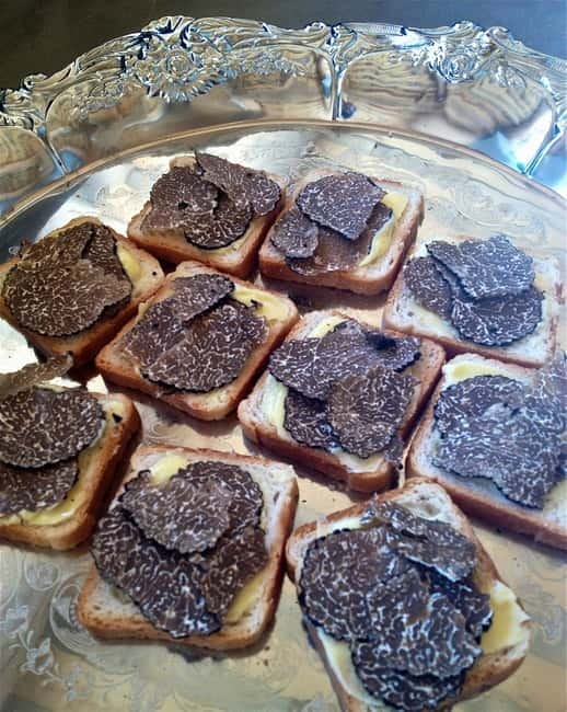 Truffle Hunting in Provence - The Guide: Knowledgeable, Charismatic, and Entertaining