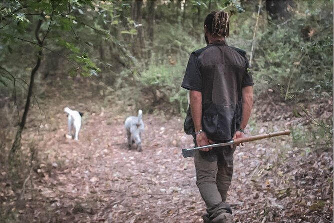 Truffle Hunting in San Gimignano - What You’ll Take Home and How to Use It