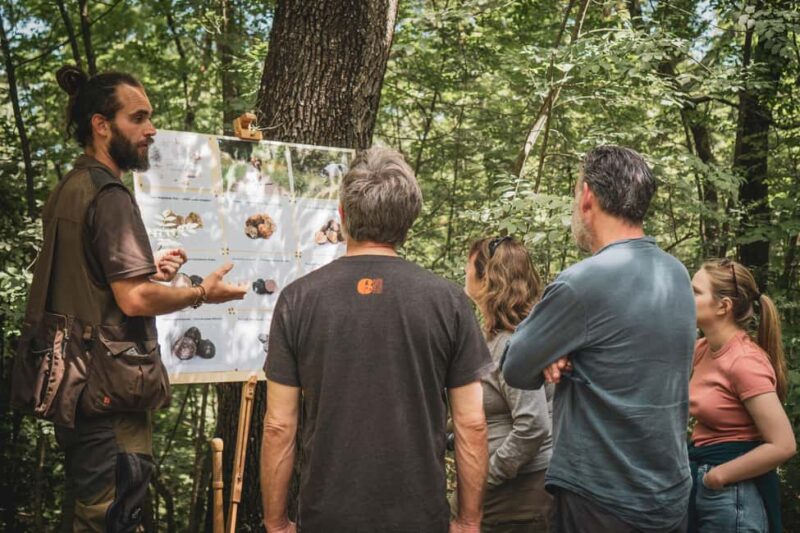 Truffle Hunting in San Gimignano - The Excitement of Finding and Digging Up Truffles