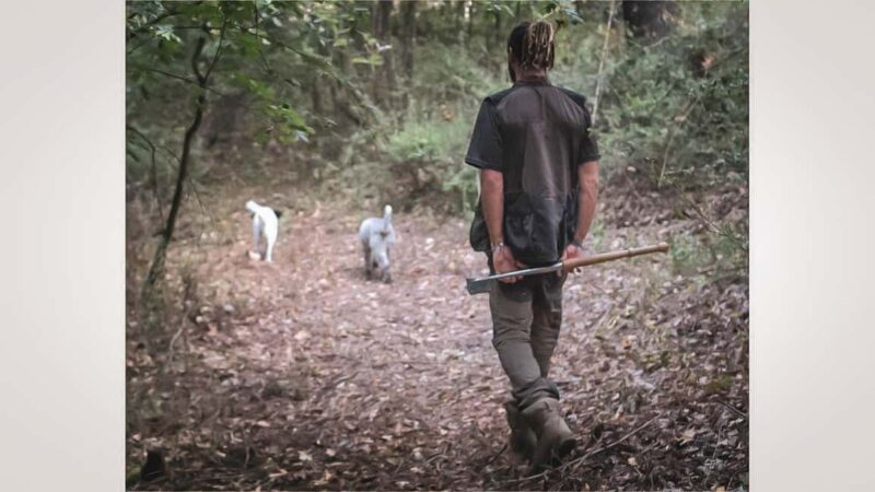 Truffle Hunting in San Gimignano - The Guides Expertise and Personal Touch