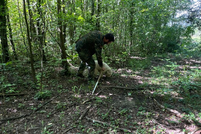 Truffle Hunting in San Miniato in Tuscany with Tasting - The Secrets of Truffle Development and Ecosystem