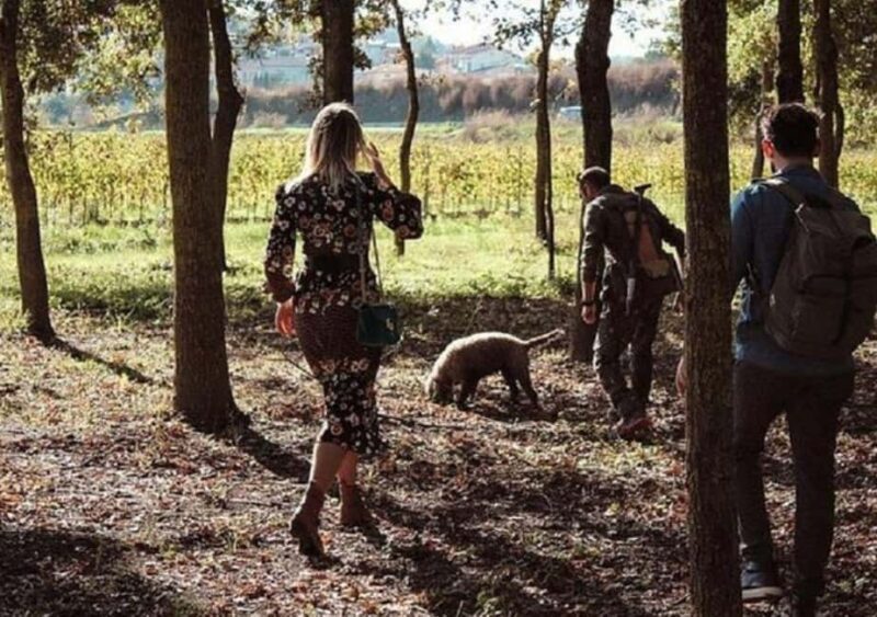 Truffle Hunting In The Hills Of Tuscany - Walking Through Tuscany’s Truffle-Rich Woods