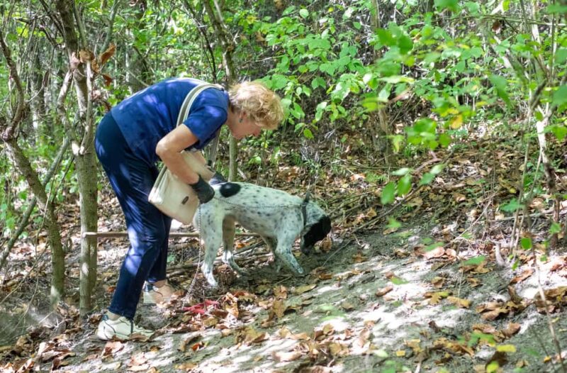 Truffle hunting in the Langhe - Truffle hunting with a real truffle hunter - Practical Tips for Participants