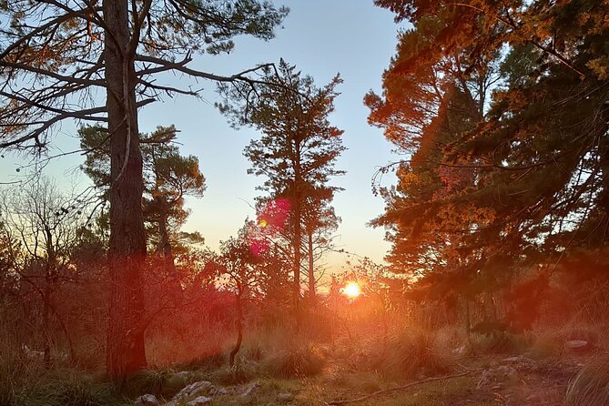 Truffle hunting in the Sicani mountains: a unique experience in Sicily - Practical Tips for Participants