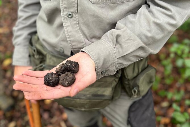 Truffle Hunting, Lunch & Cooking Class in Rome's Countryside - Key Points