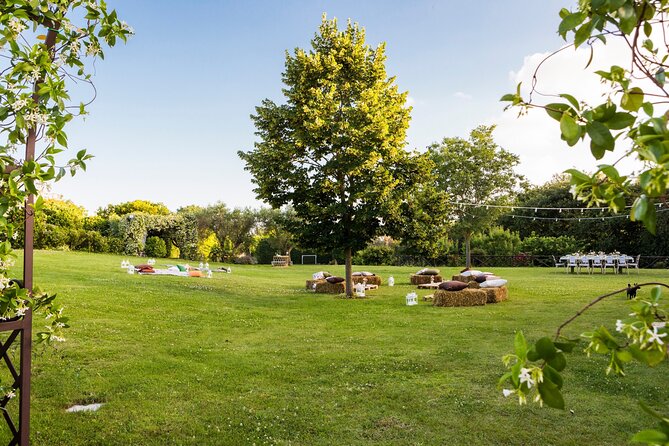 Truffle Hunting, Lunch & Cooking Class in Rome's Countryside - Learning How to Cook with Truffles in Nature