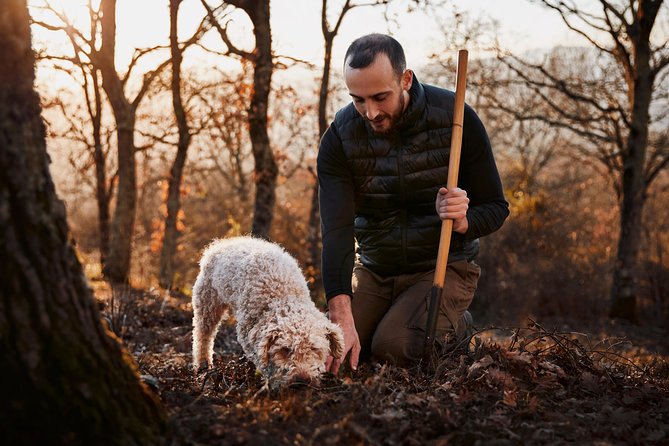 Truffle hunting near Rome - Learning Truffle Preparation Techniques in the Kitchen