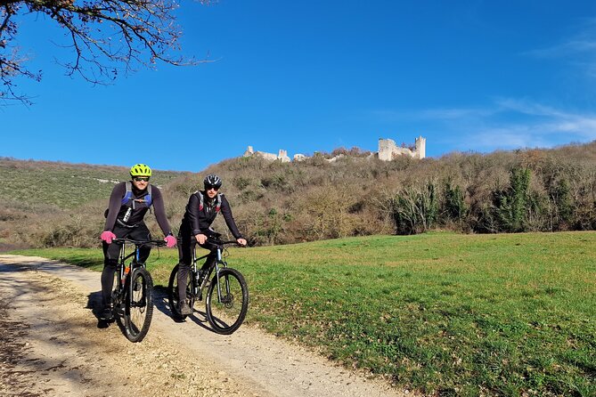 Truffle hunting tour from Rijeka - Tasting a Gourmet Truffle Meal