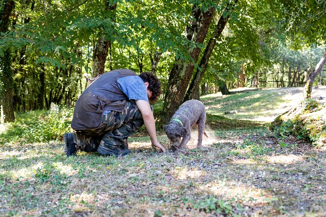 Truffle Hunting & Truffle Cooking Class - Farm Visit at Podere La Marronaia