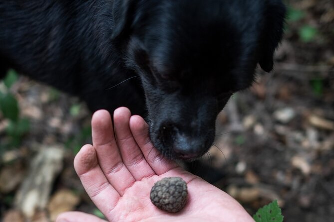 Truffle Hunting with Three Course Meal by Local Family - Flexible Dining Options for Different Diets