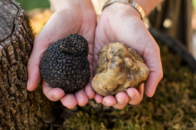 Truffle Hunting with Three Course Meal by Local Family - The Quality and Authenticity of the Experience