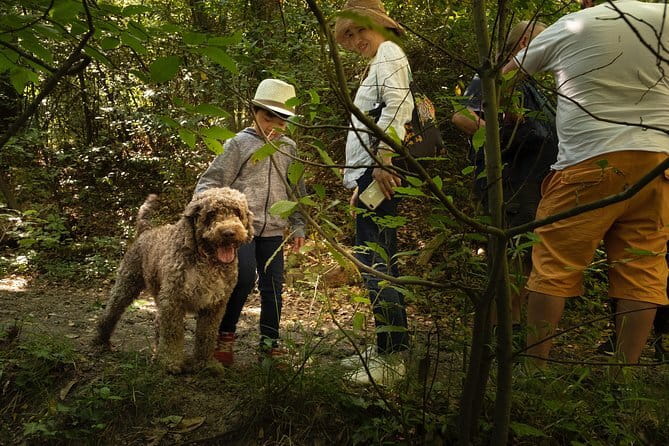 Truffle Picking Experience with 3 Course Meal in Chianti hills - Discover the Charm of Truffle Hunting in Tuscany