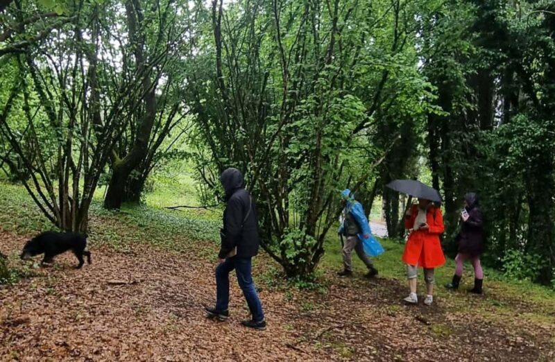 Truffle Tasting & Museum Tour in Umbria, near Perugia - The Piccolo Museo del Tartufo: A Cultural Treasure
