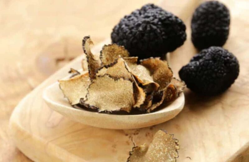 Truffle Tasting & Museum Tour in Umbria, near Perugia - Practical Details: Meeting, Accessibility, and Cancellation