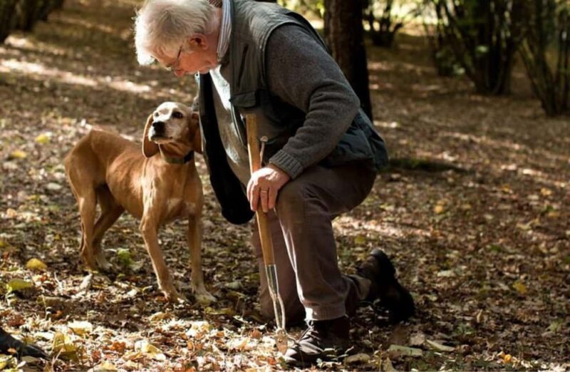 Truffle Tasting & Museum Tour in Umbria, near Perugia - Who Will Enjoy This Tour?