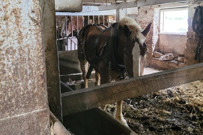 Truly Authentic Lancaster Experience! - The Tour Starts at the East King Street Garage