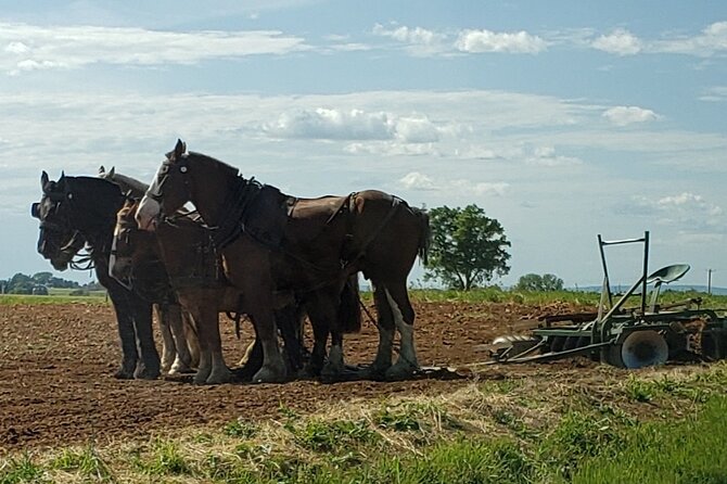 Truly Authentic Lancaster Experience! - Indulging at Down On The Farm Creamery
