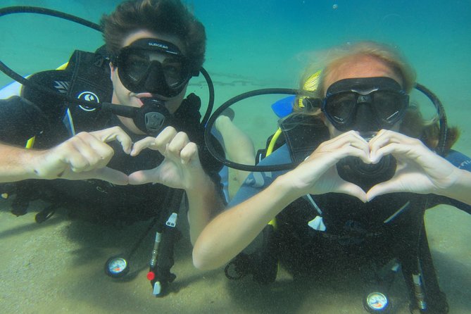 Try a DIVE, discover scuba diving in Mykonos - Underwater Marine Life at Lia Reef