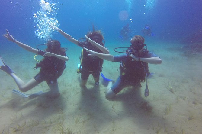 Try a DIVE, discover scuba diving in Mykonos - Logistics and Meeting Point Details