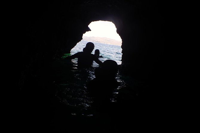 Try adventure, try coasteering - North coast - Highly Praised Guides and Customer Experience