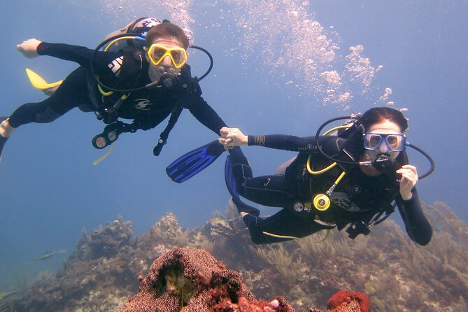 Try Dive in Cancun Underwater Museum - The Underwater Museum: MUSAs Unique Appeal