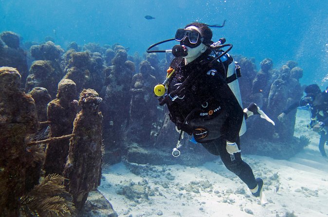 Try Dive in Cancun Underwater Museum - Underwater Photos and Videos: Extra Cost Option