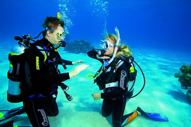 Try Dive - PADI Discover Scuba Diving in Tenerife - Timing and Pacing of the Tour