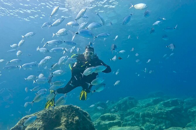 Try Dive - Scuba Diving with a private guide, incl. photos - What Makes the Private Guide Experience Stand Out?