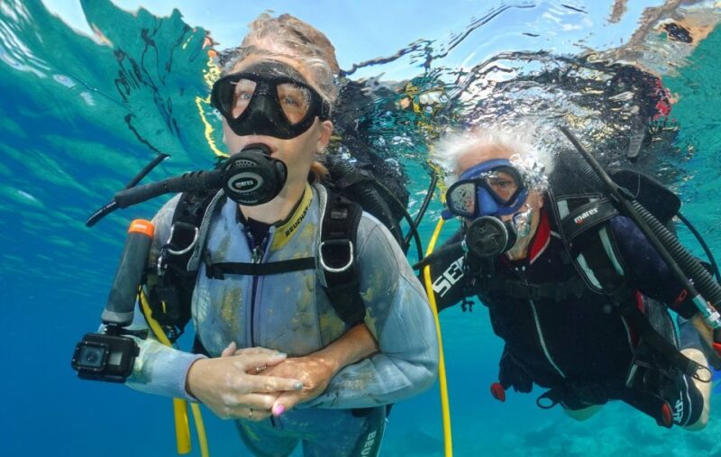 Try diving for the first time in turtle area - Who Should Consider This Experience?